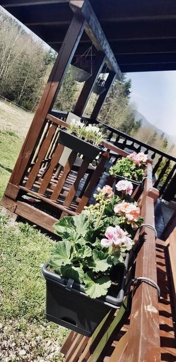 Фото номера Шале с одной спальней Шале Książka i Kubek г. Juszczyna 23